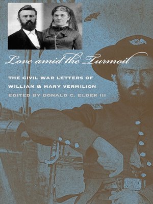cover image of Love amid the Turmoil